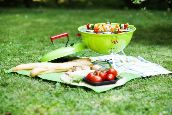 Picnic with barbeque grill, celebration concept — Stock Photo, Image