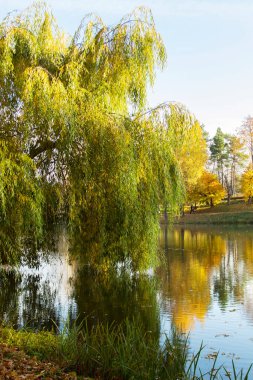 Bir şehir parkında sonbahar manzarası, Moldova 'da sonbahar.