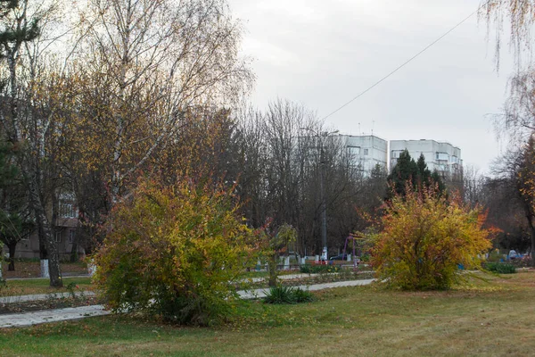 Herfstlandschap in een stadspark, herfst in Moldavië. — Stockfoto