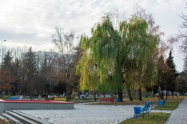 Herfstlandschap in een stadspark, herfst in Moldavië. — Stockfoto