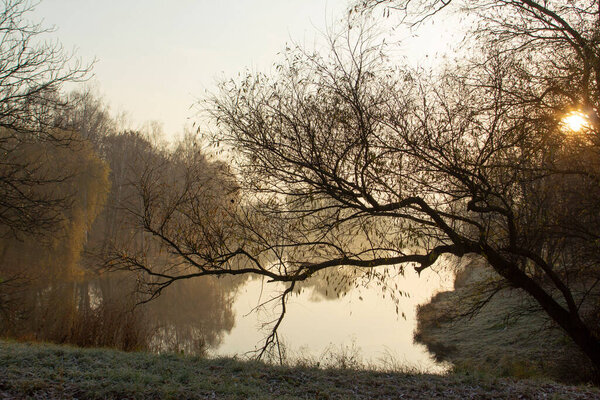 Осенний пейзаж в городском парке, осень в Молдове. Селективный фокус.