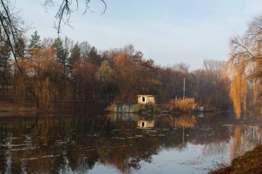 Bir şehir parkında sonbahar manzarası, Moldova 'da sonbahar. Seçici odak.
