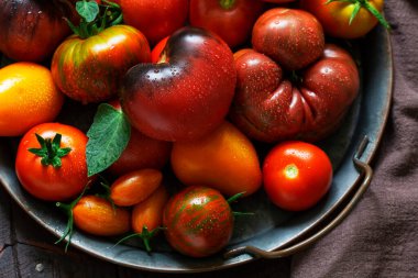 Tahta bir masadaki demir bir tepside çeşitli türde domatesler. Seçici odak.