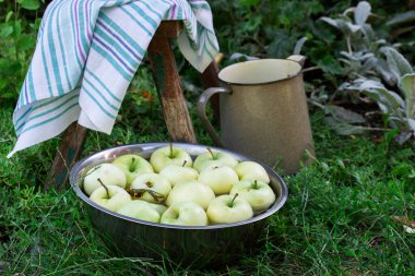 Bir yaz bahçesinin arka planında su ve elmalarla dolu bir leğen. Seçici odak.