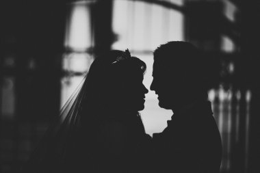 plaj öpüşmeyle arkadan aydınlatmalı sevenler