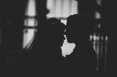 plaj öpüşmeyle arkadan aydınlatmalı sevenler