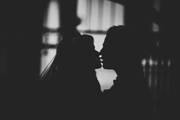 Backlit lovers on the beach kissing — Stock Photo, Image