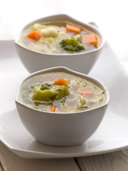 Vegetarische Suppe — Stockfoto