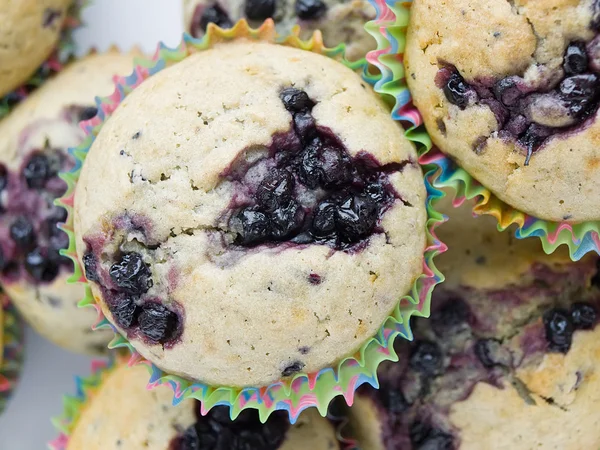 Muffins — Stockfoto