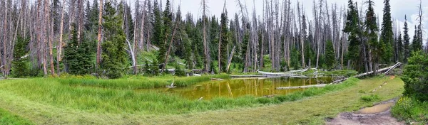 Alpine Pond Trail Cedar Breaks National Monument Views Hiking Trail — Stock Photo, Image