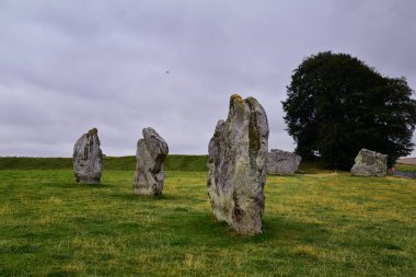 İngiltere 'nin güneybatısındaki Wiltshire' da bulunan Avebury Stone Circle Henge anıtı dünyanın en büyük tarih öncesi megalitik sahalarından biri. İngiltere, Birleşik Krallık. İngiltere.