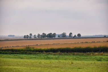 İngiltere Birleşik Krallık 'ta yemyeşil otlaklar ve tarım arazileri. Zümrüt yeşili tarlaları ve çayırları olan güzel bir İngiliz kırsalı. İngiltere.