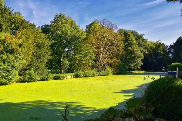 Engeland Weelderige Weiden Landbouwgronden Het Verenigd Koninkrijk Prachtig Engels Platteland — Stockfoto