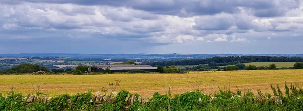 イギリスの緑豊かな牧草地や農地 エメラルドグリーンのフィールドと牧草地と美しい英語の田舎 イギリス — ストック写真