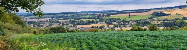 英国茂密的牧场和农田 美丽的英国乡村 绿油油的田野和草地 — 图库照片