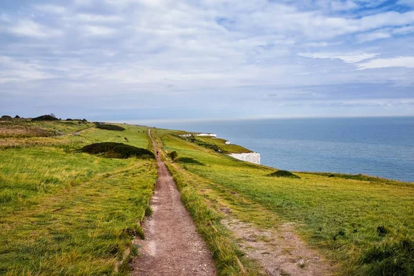 White Cliffs Dover Закрийте Детальний Краєвид Скель Від Пішохідної Стежки — стокове фото