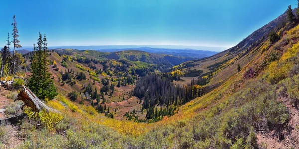 Blick Vom Wanderweg Des Mount Nebo Wilderness Peak 933 Fuß — Stockfoto