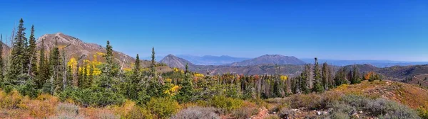 Θέα Από Πεζοπορία Μονοπάτι Του Όρους Nebo Wilderness Peak 933 — Φωτογραφία Αρχείου