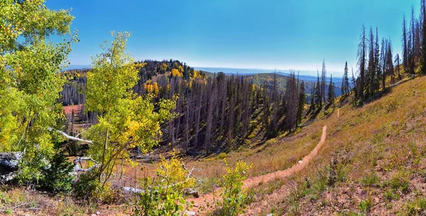 ネボ山ワイルダネスピーク 933フィートのピークを持つハイキングトレイルの景色 秋はパノラマの葉 ユタ州のウォッチレンジ ユータ国立の森 アメリカ — ストック写真