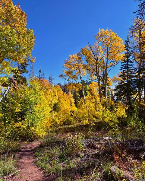 Monte Nebo Wilderness Peak Veduta Del Sentiero Escursionistico Con Vetta — Foto Stock