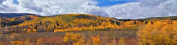 Саммит Дэниелса Осеннее Землетрясение Осины Листья Клубничного Водохранилища Национальном Лесном — стоковое фото