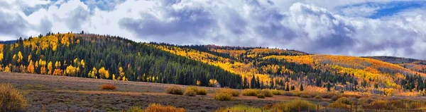 Daniels Summit Autumn Quaking Aspen Leaves Strawberry Reservoir Uinta National — Φωτογραφία Αρχείου