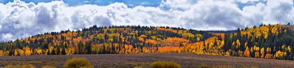 Daniels Summit Höst Skakar Asp Löv Strawberry Reservoir Uinta National — Stockfoto