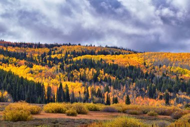 Daniels Zirvesi sonbaharı Uinta Ulusal Orman Havzası, Utah 'ta Strawberry Reservoir' dan kavak yaprakları sarsıyor..
