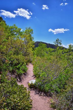 Silver Lake Flat Reservoir yürüyüş yolu manzarası, Tibble Fork 'un yukarısındaki dağlar, ağaçlar ve dereler American Fork Canyon' da. Wasatch Dağları, Utah. ABD.