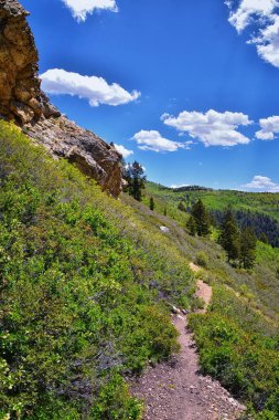 Silver Lake Flat Reservoir yürüyüş yolu manzarası, Tibble Fork 'un yukarısındaki dağlar, ağaçlar ve dereler American Fork Canyon' da. Wasatch Dağları, Utah. ABD.