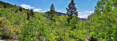 Silver Lake Flat Reservoir yürüyüş yolu manzarası, Tibble Fork 'un yukarısındaki dağlar, ağaçlar ve dereler American Fork Canyon' da. Wasatch Dağları, Utah. ABD.
