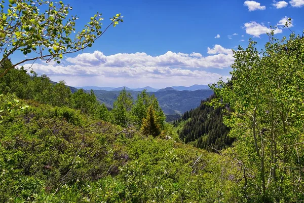 Silver Lake Flat Reservoir Blick Auf Die Berge Vom Wanderweg — Stockfoto