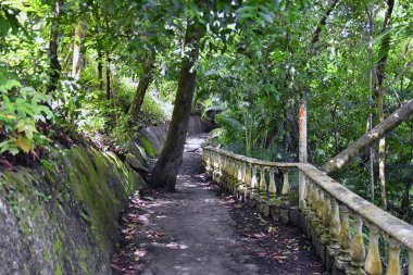 El Miro Harabeleri, yürüyüş manzarası, terk edilmiş malikane, Jaco, Kosta Rika 2022, Orta Amerika 'da biyolojik koridor ilan edildi..