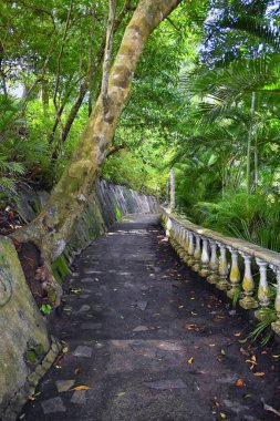 El Miro Harabeleri, yürüyüş manzarası, terk edilmiş malikane, Jaco, Kosta Rika 2022, Orta Amerika 'da biyolojik koridor ilan edildi..