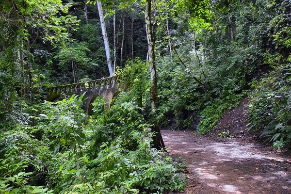 El Miro Harabeleri, yürüyüş manzarası, terk edilmiş malikane, Jaco, Kosta Rika 2022, Orta Amerika 'da biyolojik koridor ilan edildi..