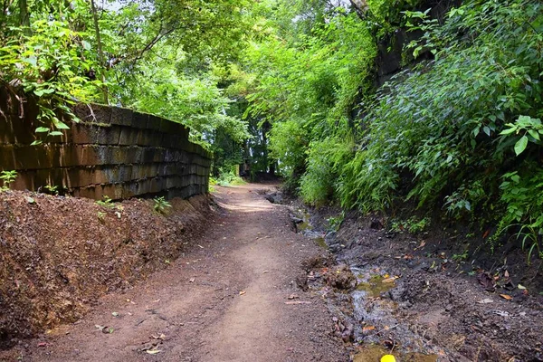 Miro Ruins Hiking Trail Views Abandoned Mansion Declared Biological Corridor — Stock Photo, Image