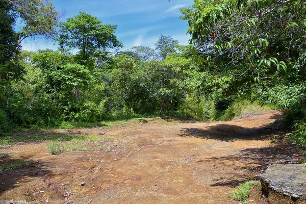 ミロ遺跡 ハイキングトレイルビュー 放棄された邸宅 宣言された生物学的回廊 ヤコ省 コスタリカ2022 — ストック写真