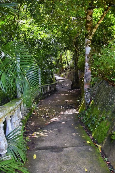 Miro Ruins Hiking Trail Views Abandoned Mansion Declared Biological Corridor — Stock Photo, Image
