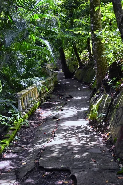 Miro Ruins Hiking Trail Views Abandoned Mansion Declared Biological Corridor — Stock Photo, Image