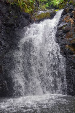 Şelale Jaco Kosta Rika, Catarastas Valle Encantado - Yeşil ağaçlar, bitki örtüsü, kayalar, yeşil ve berrak sularda yüzen yapraklarla çevrili gizli şelale. Orta Amerika.