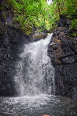 Şelale Jaco Kosta Rika, Catarastas Valle Encantado - Yeşil ağaçlar, bitki örtüsü, kayalar, yeşil ve berrak sularda yüzen yapraklarla çevrili gizli şelale. Orta Amerika.