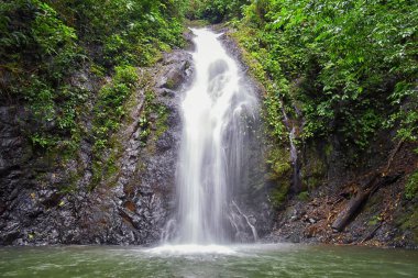 Şelale Jaco Kosta Rika, Catarastas Valle Encantado - Yeşil ağaçlar, bitki örtüsü, kayalar, yeşil ve berrak sularda yüzen yapraklarla çevrili gizli şelale. Orta Amerika.