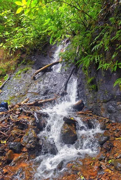 Cascade Jaco Costa Rica Catarastas Valle Encantado Cascade Cachée Entourée — Photo