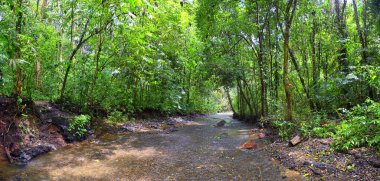 Şelale Jaco Kosta Rika, patika manzarası, Catarastas Valle Encantado - ormandaki yeşil ağaçlarla çevrili gizli şelale. Orta Amerika.
