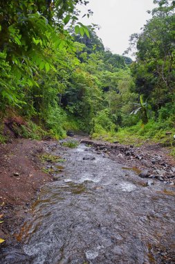 Şelale Jaco Kosta Rika, patika manzarası, Catarastas Valle Encantado - ormandaki yeşil ağaçlarla çevrili gizli şelale. Orta Amerika.
