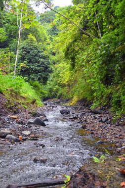 Şelale Jaco Kosta Rika, patika manzarası, Catarastas Valle Encantado - ormandaki yeşil ağaçlarla çevrili gizli şelale. Orta Amerika.
