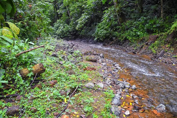 滝Jaco Costa Rica Trail Views Catarastas Valle Encantado ジャングルの緑の木々に囲まれた隠された滝 中央アメリカ — ストック写真