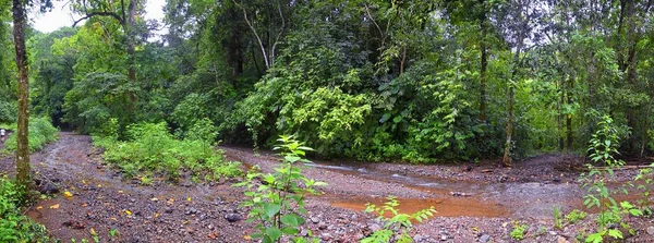 滝Jaco Costa Rica Trail Views Catarastas Valle Encantado ジャングルの緑の木々に囲まれた隠された滝 中央アメリカ — ストック写真