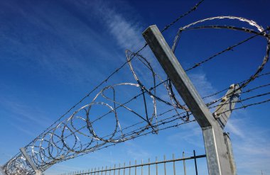 Çitteki dikenli tel diğer tarafa geçmesini engelliyor. 