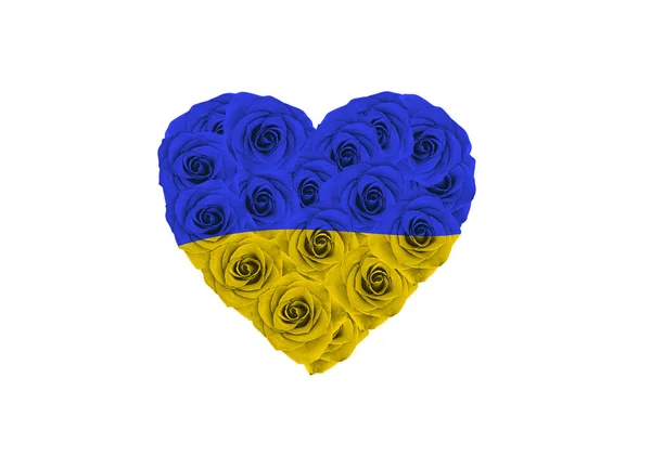 ウクライナの国旗 ウクライナ国旗 バラの完全な心としてのウクライナの旗 — ストック写真